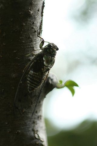 凡人さん画像7-25