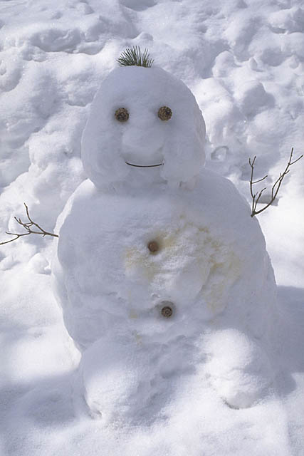 雪だるまの画像